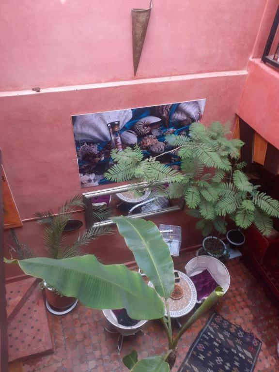 Riad Hanafi Marakéš Exteriér fotografie